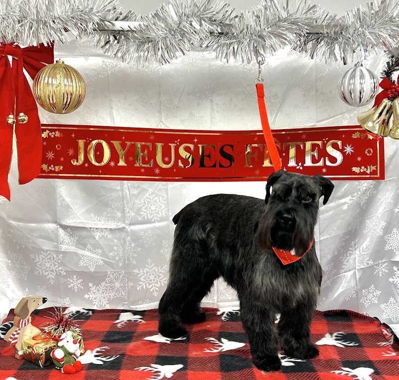 Salon Luxe Canin