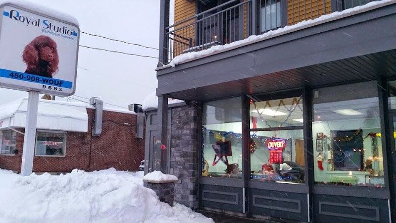Royal Studio Esthétique Animale