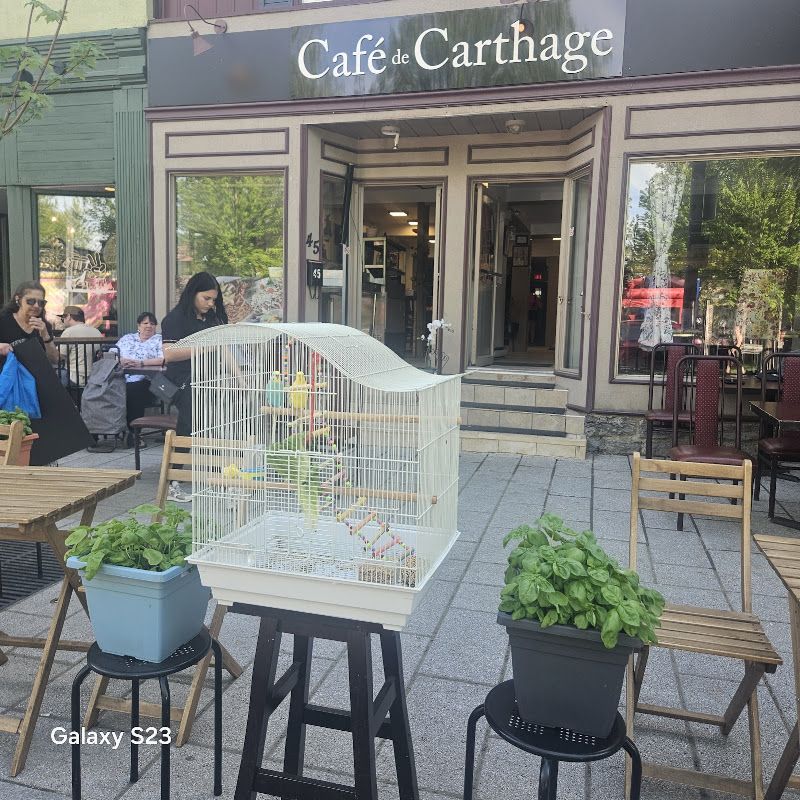Café de Carthage