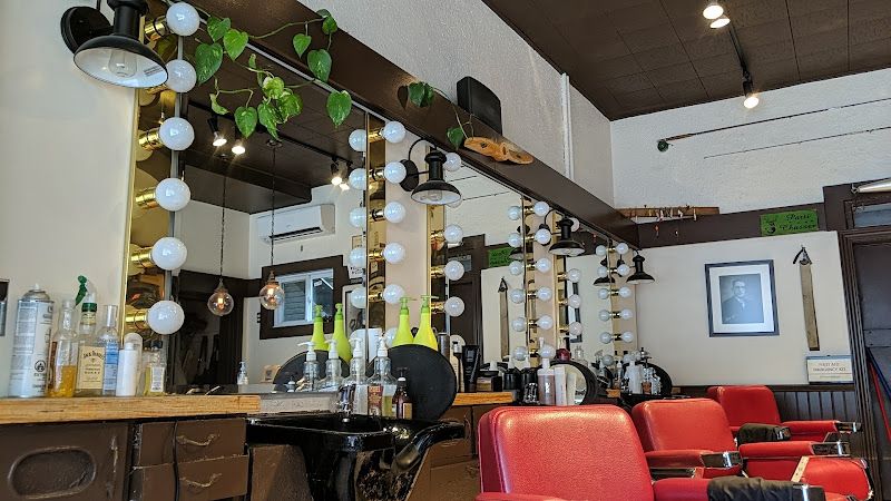 Salon Leopold