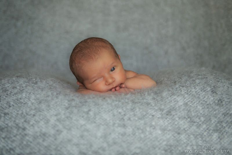 Maxime Lafortune Photographie