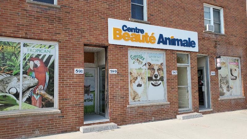 Centre De La Beauté Animale