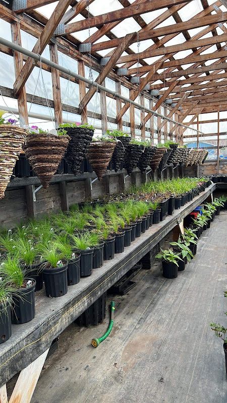 Serres Barachois Greenhouse