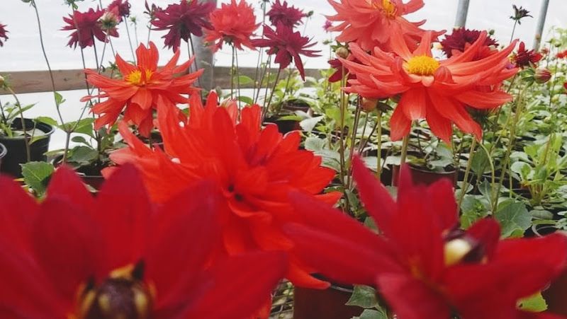 Les Serre Sylvain Coursol & Filles