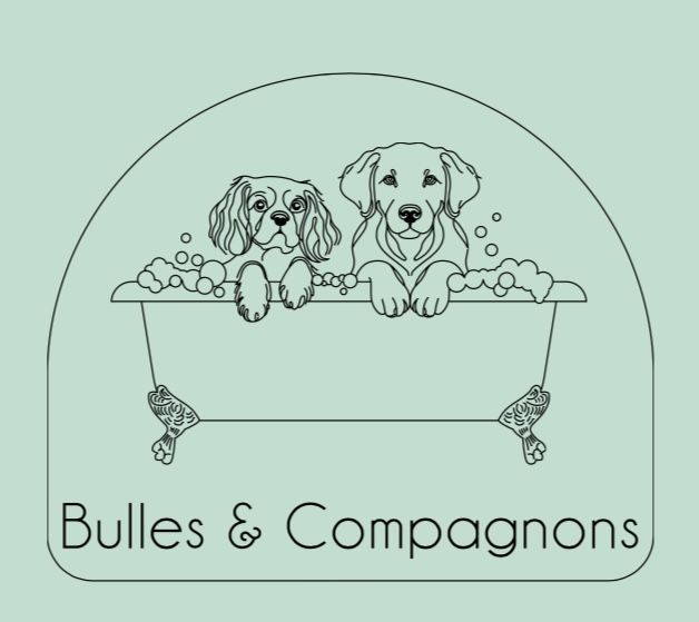 Bulles et Compagnons