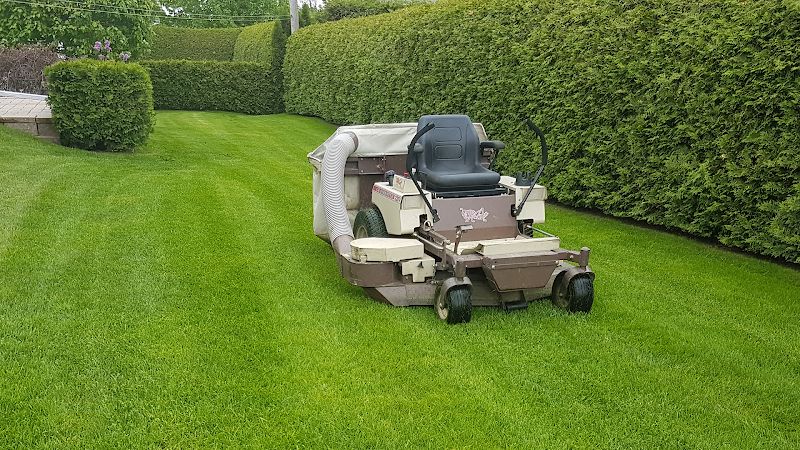 GS Tonte de Pelouse & Déneigement