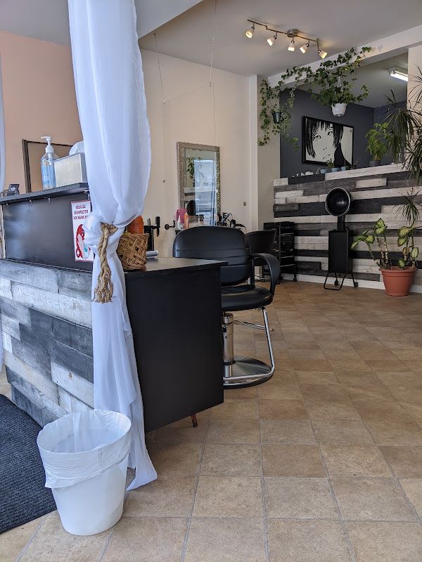 WAVE Salon de Coiffure