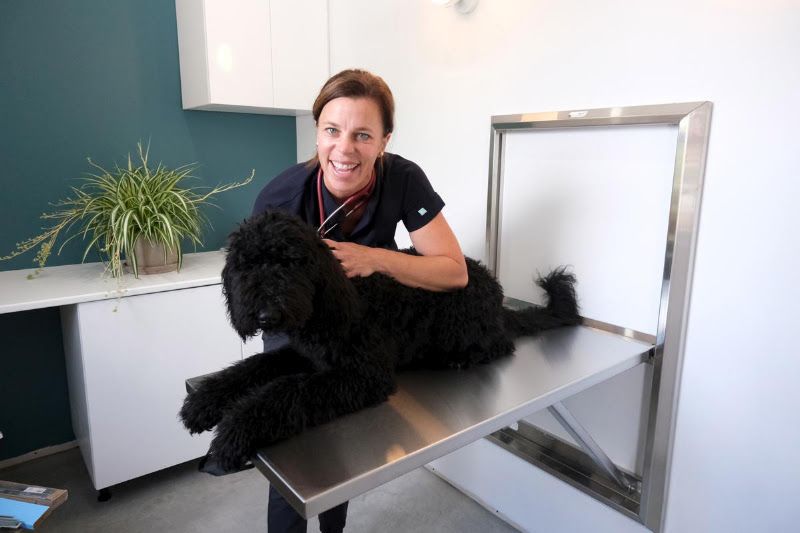 Clinique vétérinaire FOSTERVET