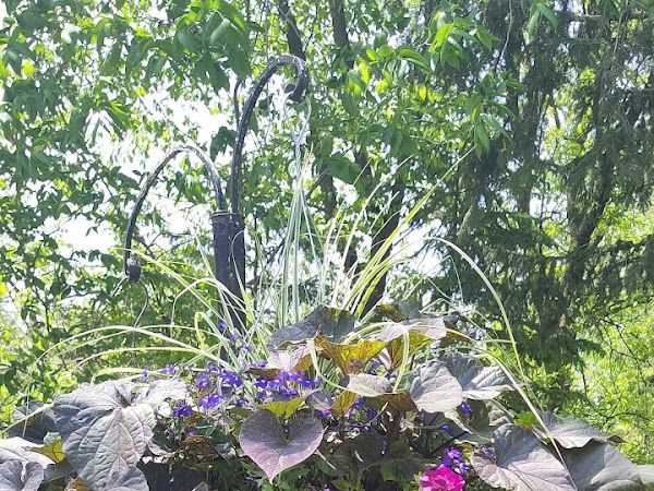 Les jardins de Louise et Andrée