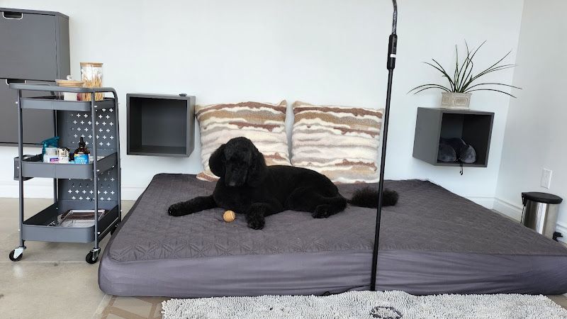 Oh La-La Toilettage & ImpeKable Cosmetic Dog Teeth Cleaning Salon