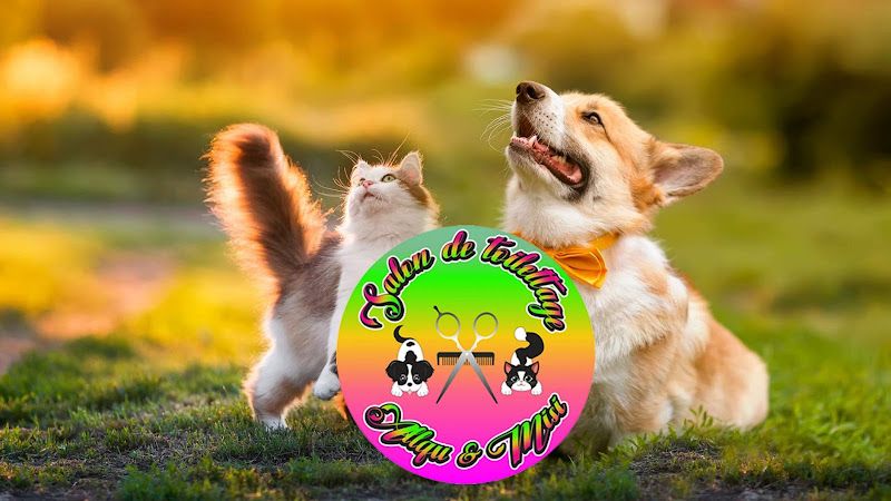 Salon de Toilettage Allqu & Misi - Chiens et Chats