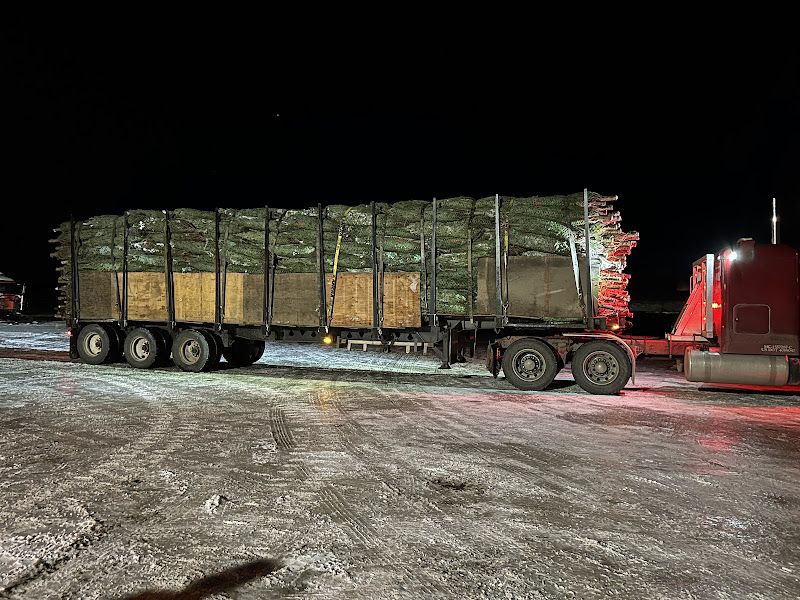 TRANSPORT G.D.M. INC.TRANSCIBOIS INC