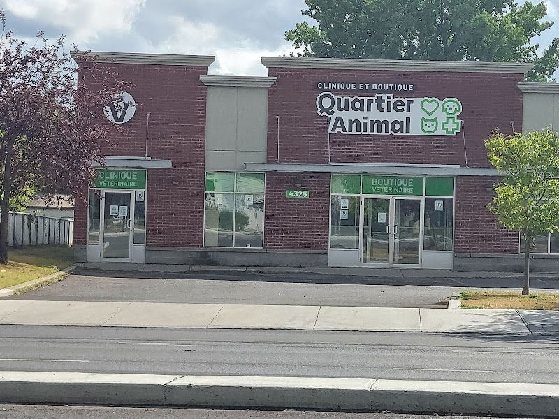 CLINIQUE VÉTÉRINAIRE QUARTIER ANIMAL DE LONGUEUIL - OUVERT.