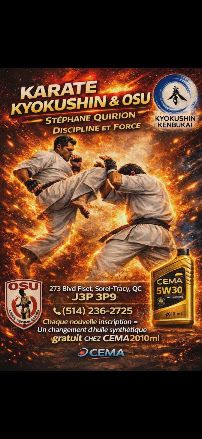Cema (2010) ML Inc
