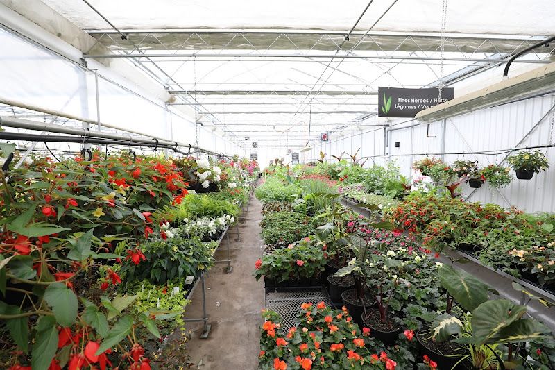 Pépinière Jardins Des Rives Inc