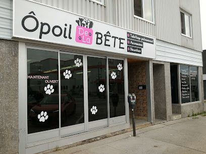 Toilettage O poil de la bête